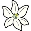 橙光短剧